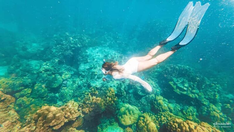 Phuket: Phi Phi, Maya Bay, Khai & Snorkeling Tour with Lunch - Key Points