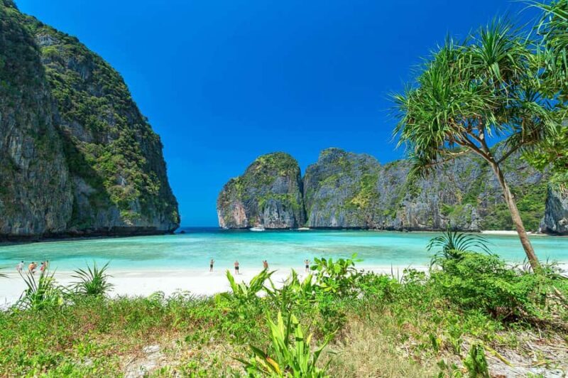 Phuket: Phi Phi, Maya & Khai Luxury Power Catamaran Day Tour - The Sum Up