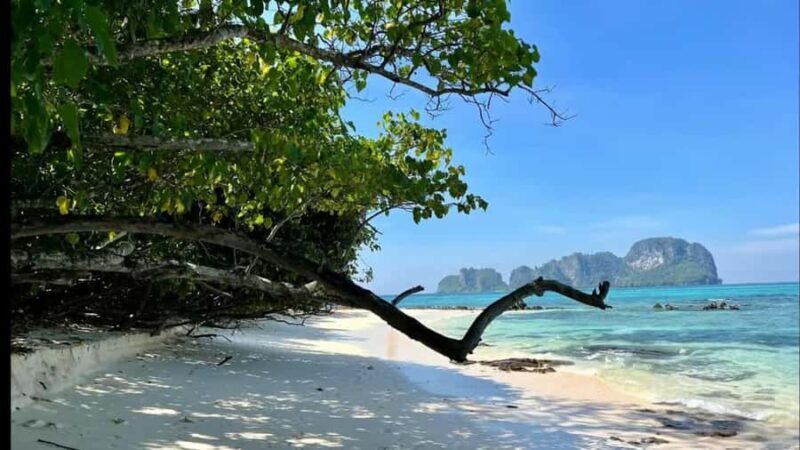Phuket: Phi Phi, Maya, Khai or Maiton or Bamboo Island Tour - Authentic Experiences from Reviews