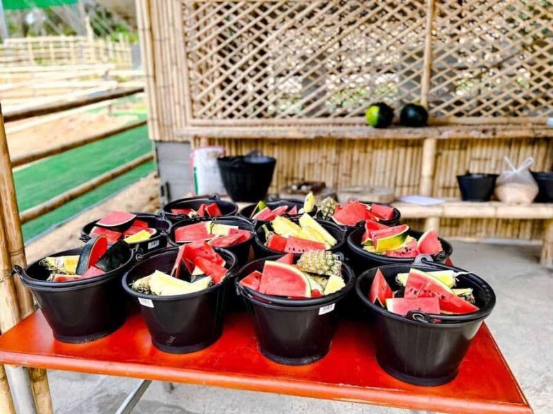 Phuket: Phuket Elephant Care Sanctuary ECO Tour - Phuket Elephant Care Sanctuary ECO Tour Review