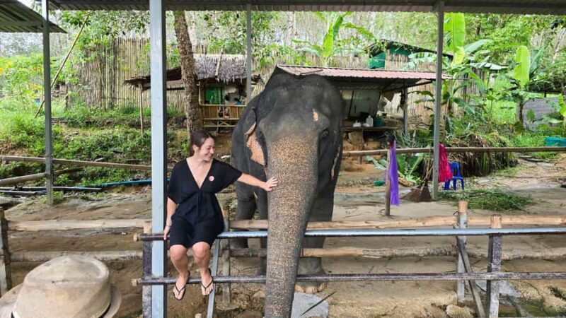 Phuket: Phuket Elephant Care Sanctuary ECO Tour - Key Points