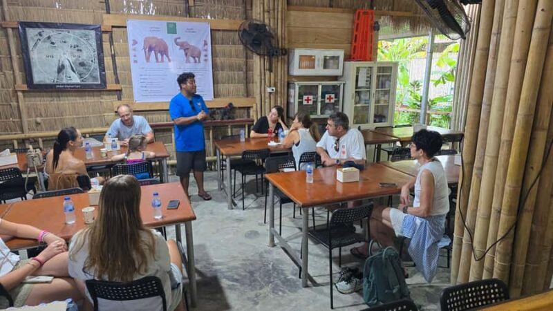 Phuket: Phuket Elephant Care Sanctuary ECO Tour - Authentic Experiences and Genuine Care
