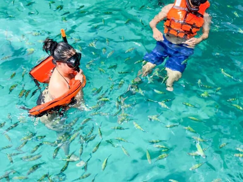 Phuket: Premium Day Trip to Phi Phi-Maya-Bamboo Island - The Sum Up