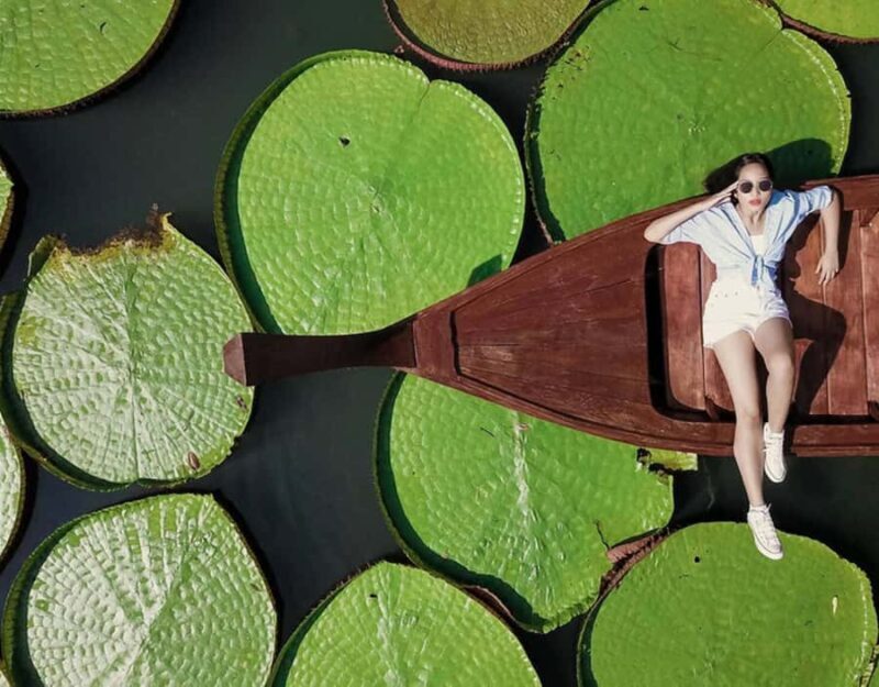 Phuket: Private & All-Inclusive Giant Water Lilies Tour - Experience the Phuket: Private & All-Inclusive Giant Water Lilies Tour