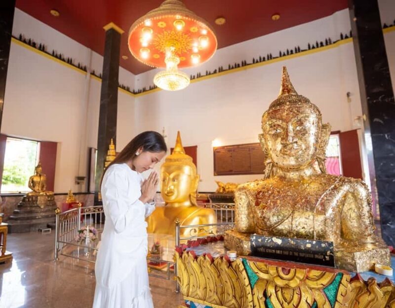 Phuket: Private & All-Inclusive Giant Water Lilies Tour - Key Points