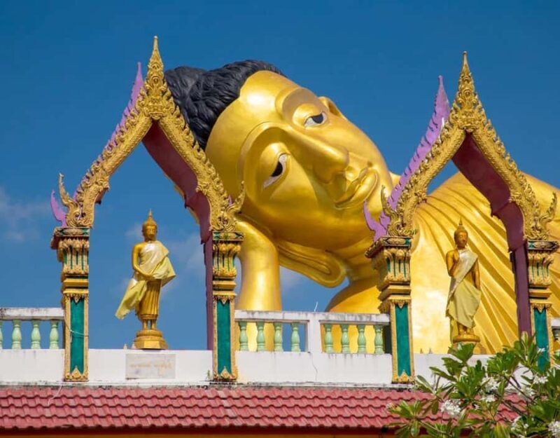 Phuket: Private & All-Inclusive Giant Water Lilies Tour - The Comfort and Convenience of a Private Tour