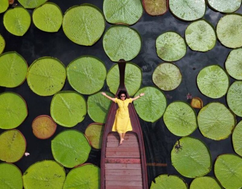 Phuket: Private & All-Inclusive Giant Water Lilies Tour - Who Is This Tour Best For?