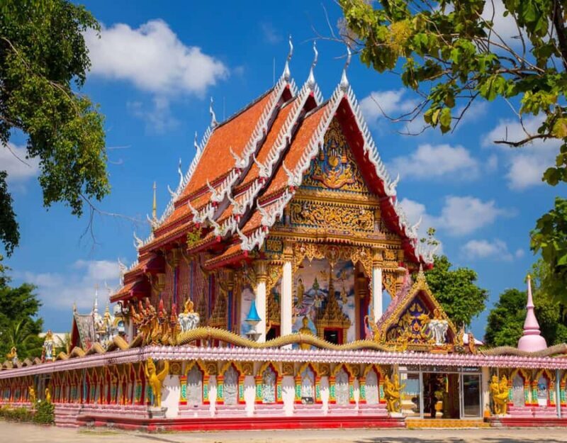 Phuket: Private & All-Inclusive Giant Water Lilies Tour - The Sum Up