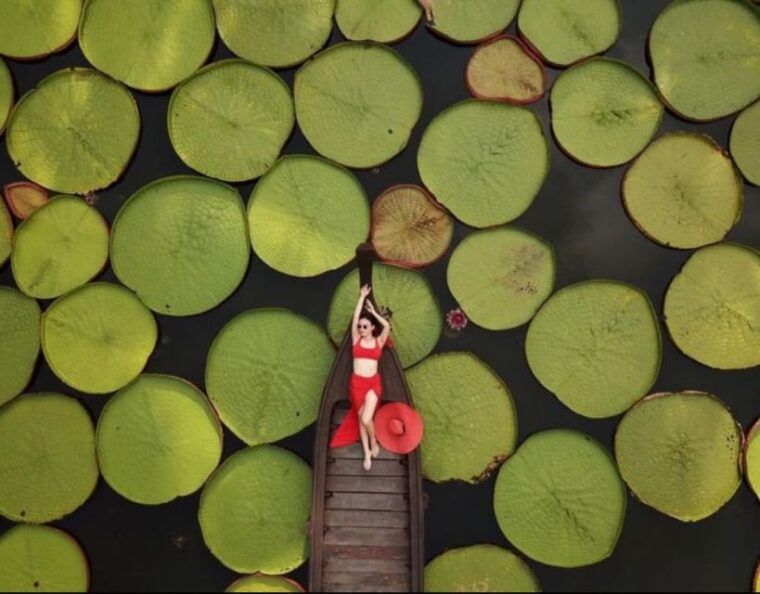 phuket-private-all-inclusive-giant-water-lilies-tour