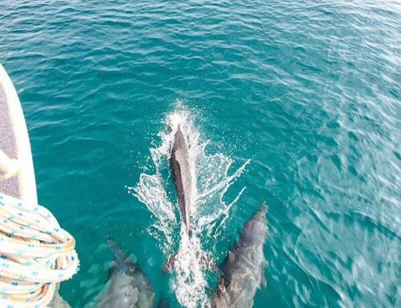 Phuket: Private Speed Boat to Maiton and Khai Islands - An In-Depth Look at the Private Speedboat Experience