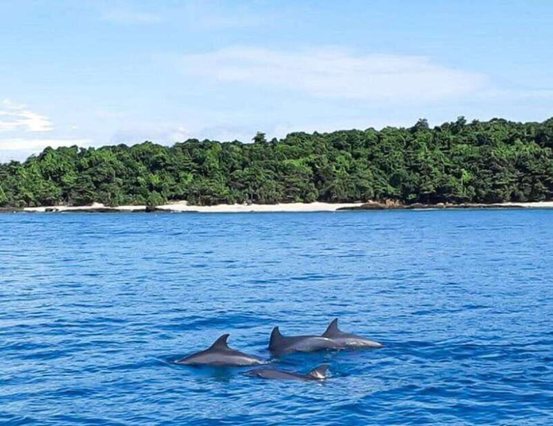 phuket-private-speed-boat-to-maiton-and-khai-islands