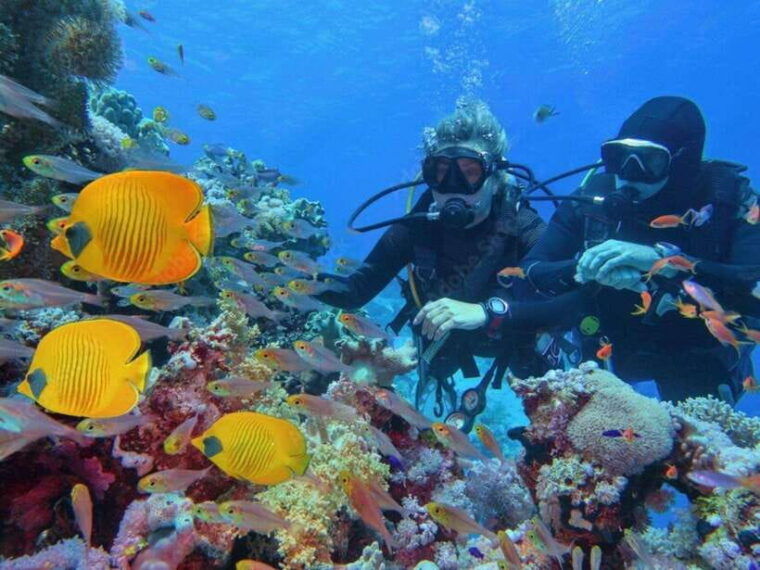 phuket-racha-island-and-coral-islands-scuba-beach-dive