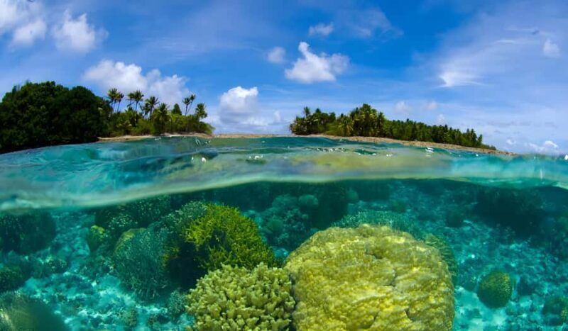 Phuket: Racha Noi & Maiton Catmaran Tour with Beach Picnic - An In-Depth Look at the Experience