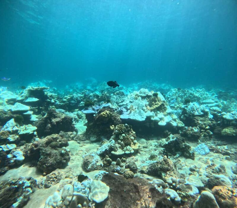 Phuket: Racha PADI Discover Scuba Diving 2 Dives and GoPro - The Sum Up