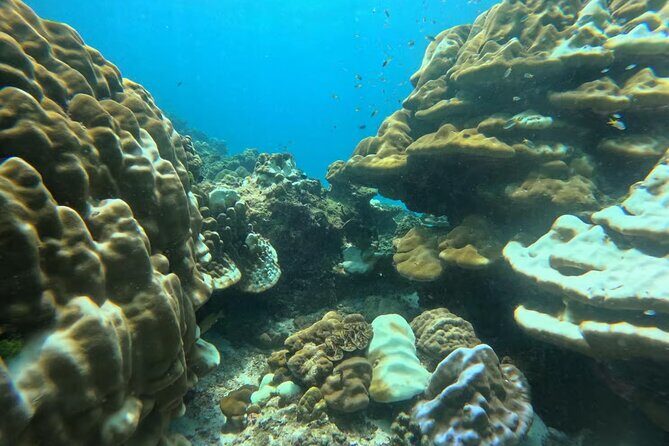 Phuket Racha PADI Discover Scuba Diving 2 Dives and GoPro - Practical Tips and Considerations