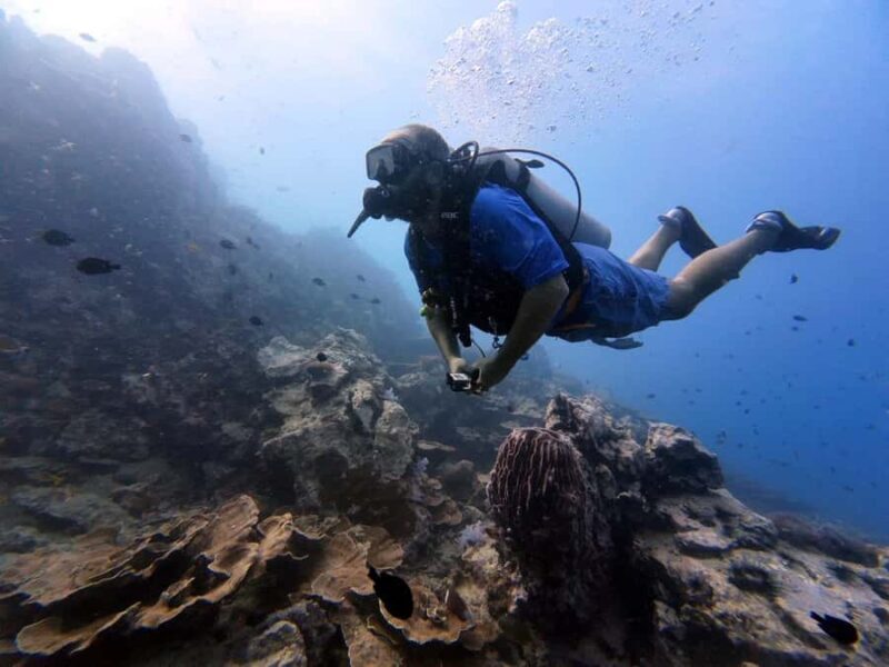 Phuket: Racha Yai 2-Fun Dives or Snorkeling Trip w/Transfer - Introduction to the Racha Yai Experience