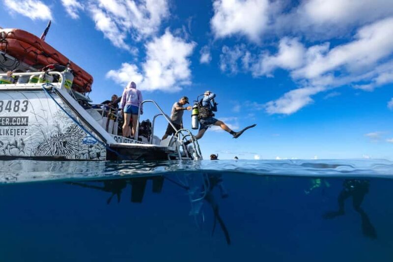 Phuket: Racha Yai 2-Fun Dives or Snorkeling Trip w/Transfer - Who Will Love This Trip?