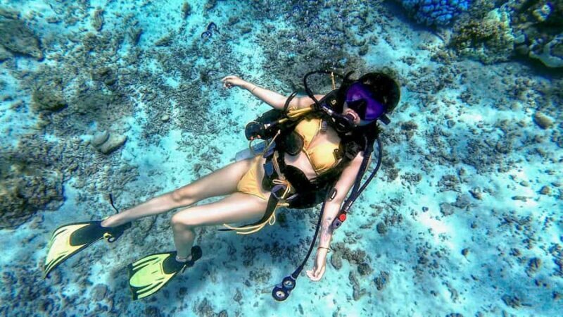 Phuket: Racha Yai & Racha Noi Island Diving Day Trip - Key Points