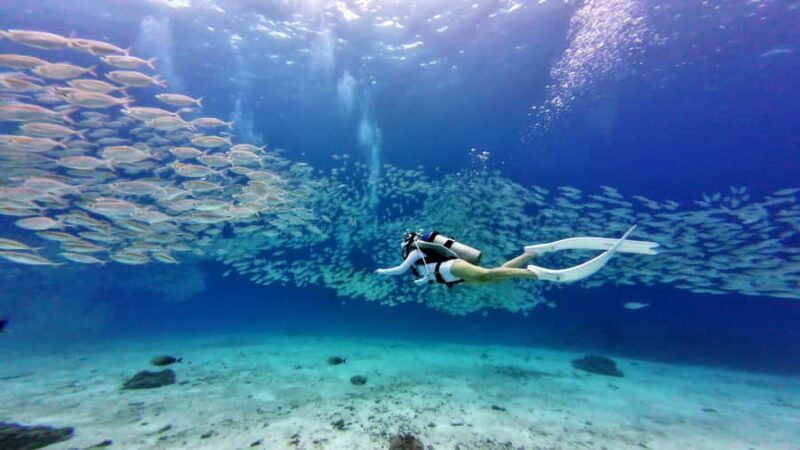 Phuket: Racha Yai & Racha Noi Island Diving Day Trip - Practical Details: What to Know Before You Go