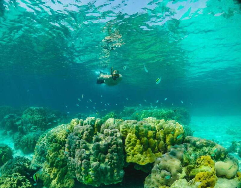 phuket-raya-yai-padi-open-water-diver-course