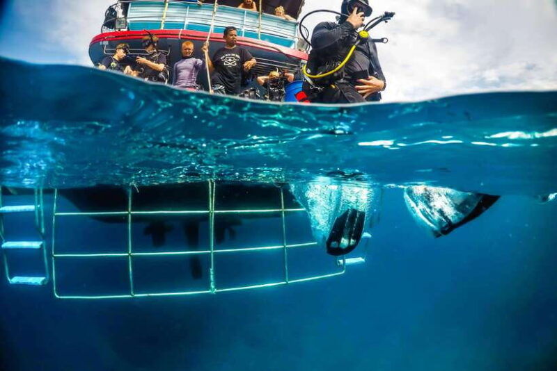 phuket-raya-yai-try-scuba-diving-without-experience
