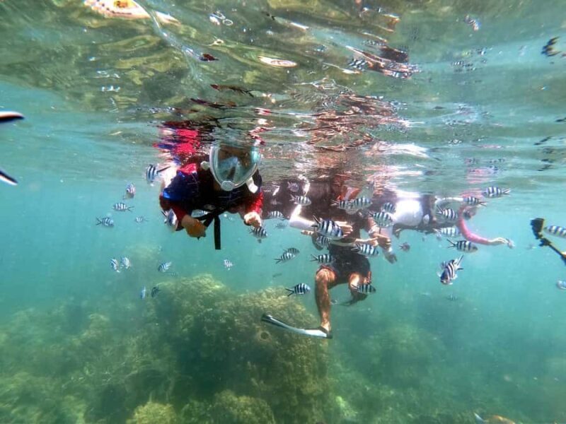 Phuket: Relaxed Phi Phi & Khai Islands Beach Snorkeling Tour - Transportation and Practical Details