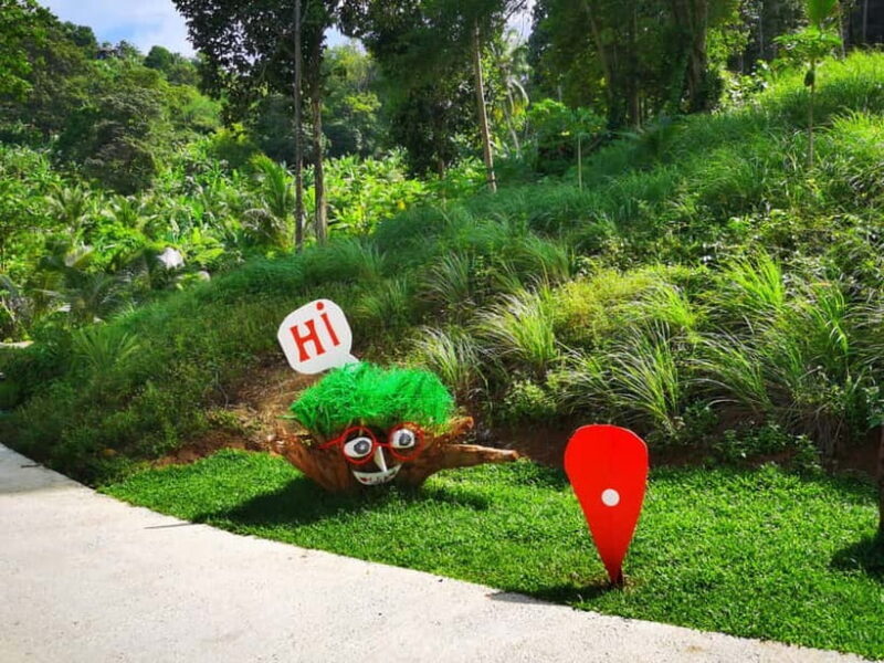 Phuket: Rock Beach Swing Entry Ticket - A Natural Sanctuary with a View