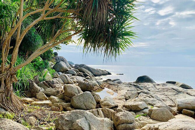 Phuket Rock Beach Swing Instagram Photo Spot and Ocean View - Authentic Insights from Reviewers