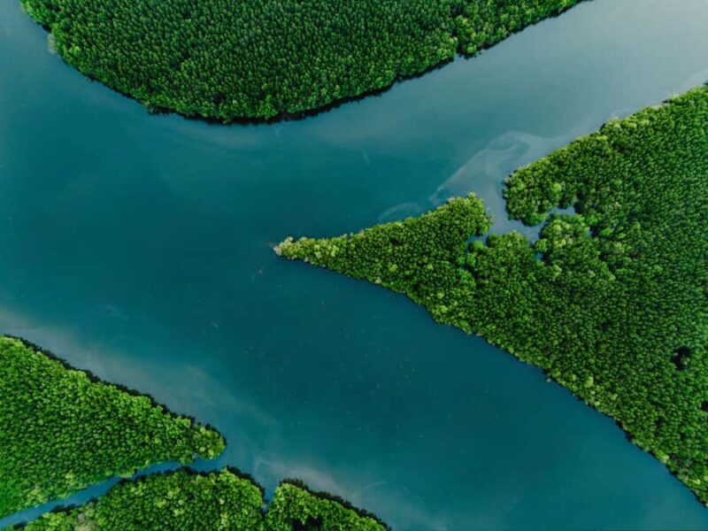 Phuket : Samet Nangshe and Cheow Lan Lake Adventure Day Tour - Who Is This Tour Best For?