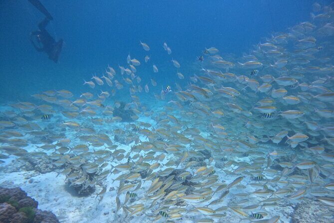 Phuket: Scuba Dive Racha and Coral Islands with Snorkeling Tour - The Sum Up