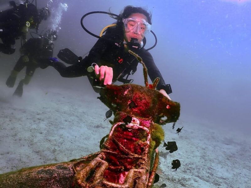 phuket-scuba-diving-day-trip-king-cruiser-shark-point-kdm