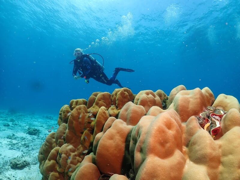 phuket-scuba-diving-day-trip-racha-yai-racha-noi-3-dives