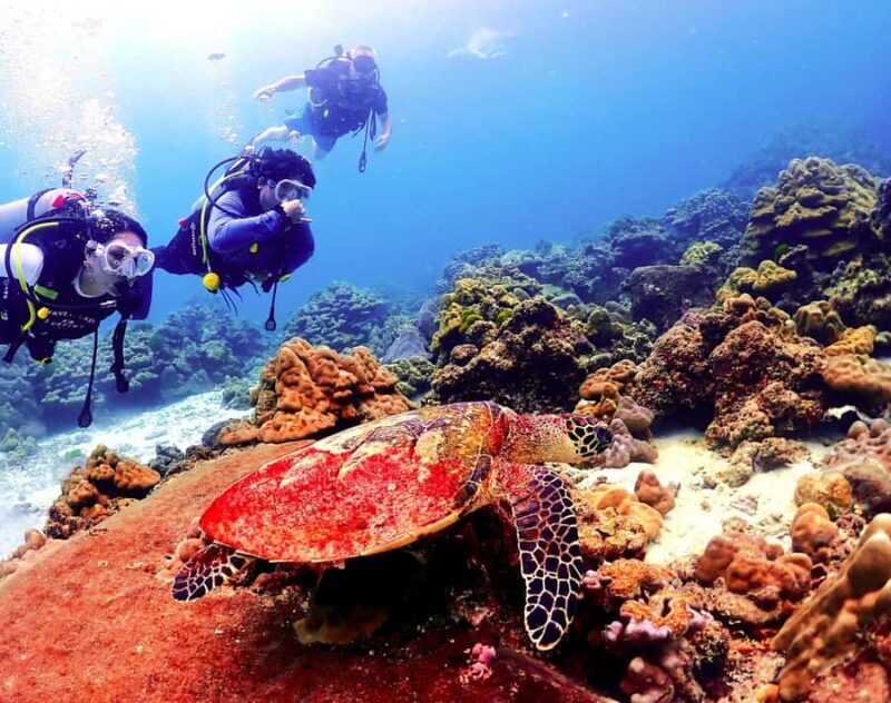 Phuket: Scuba Diving Maithon Or Racha Islands For All Levels - An Honest Breakdown of the Experience