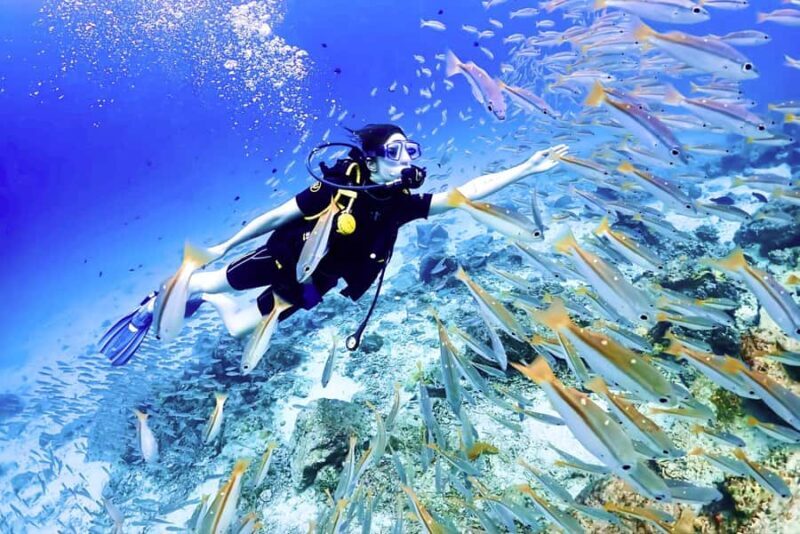 Phuket: Scuba Diving Maithon Or Racha Islands For All Levels - The Sum Up