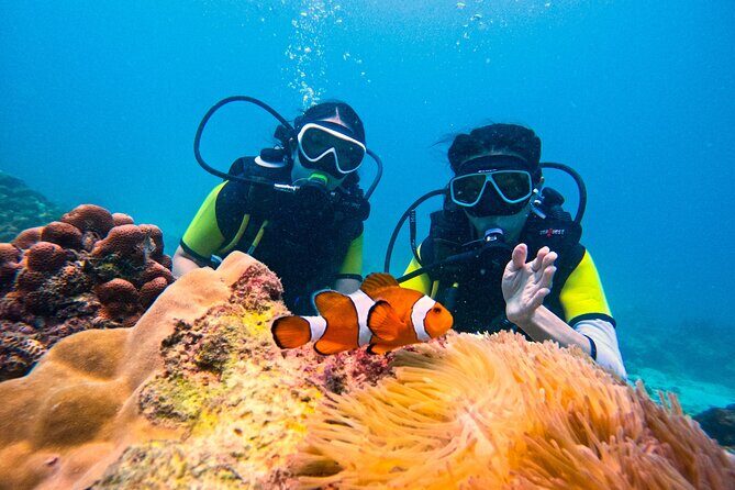 Phuket Scuba Diving: Racha Island Or Maiton Island For All Levels - A Deep Dive into the Experience: What to Expect