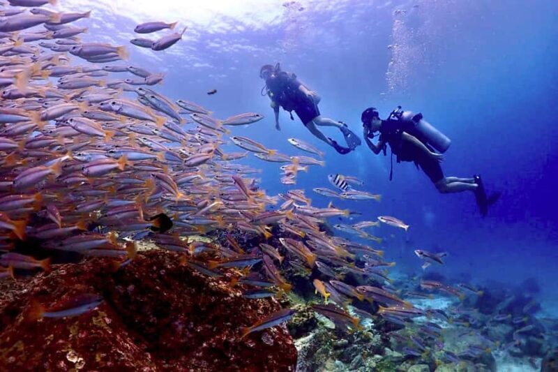 Phuket Scuba Diving Racha Islands 1-3 Dives For All Levels - Key Points