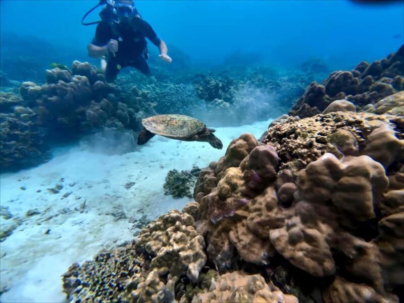 Phuket Scuba Diving Racha Islands 1-3 Dives For All Levels - The Value of This Experience