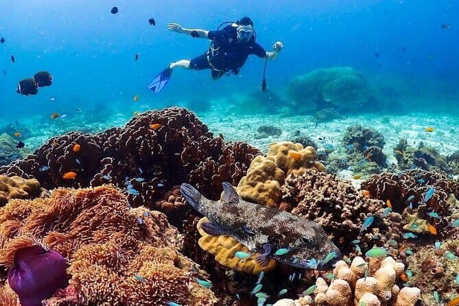 Phuket Scuba Diving Tour with Transportation - The Experience for Different Types of Travelers