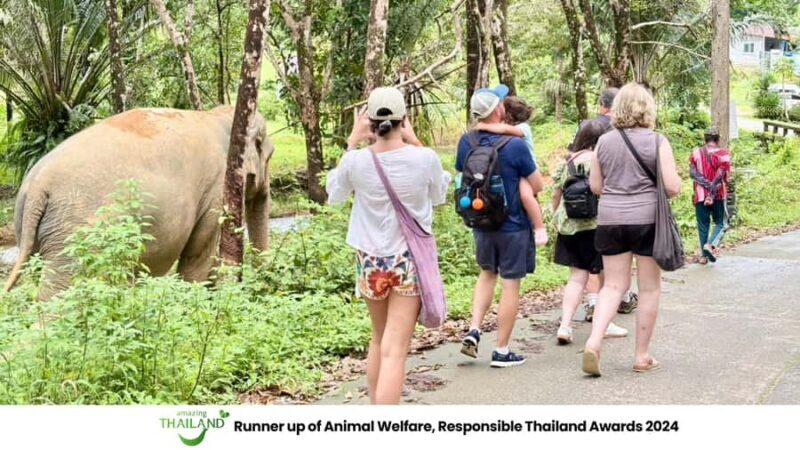 Phuket: Sea Turle Center,Temples,Tsunami & Elephant and More - Key Points