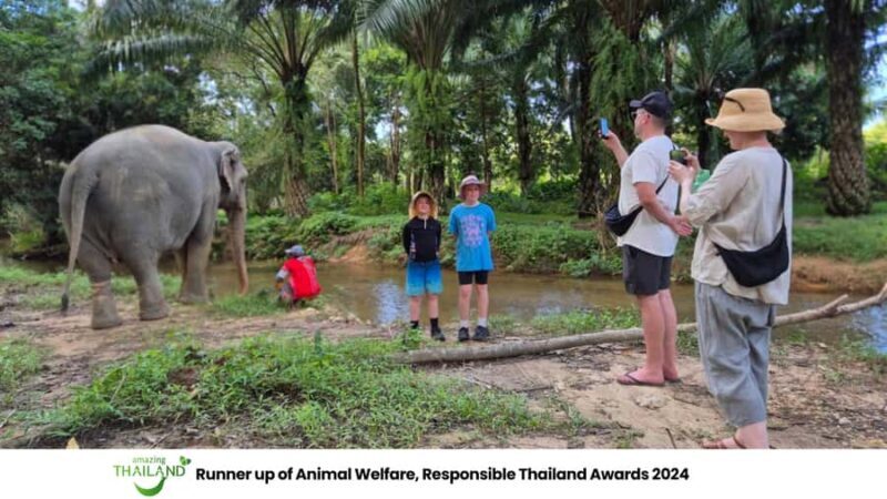 Phuket: Sea Turle Center,Temples,Tsunami & Elephant and More - Potential Drawbacks and Considerations