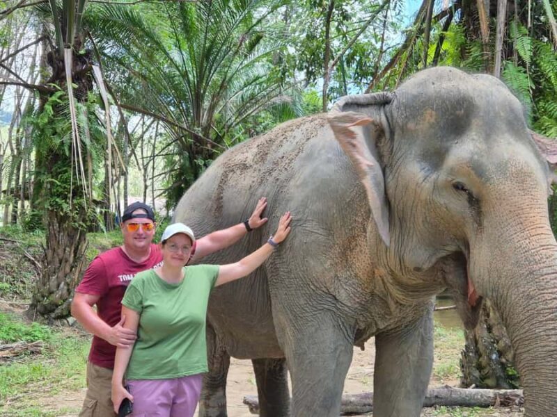 Phuket: Sea Turle Center,Temples,Tsunami & Elephant and More - Final Thoughts