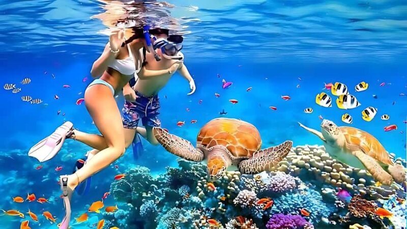 Phuket: Similan Island by Speedboat - FAQ
