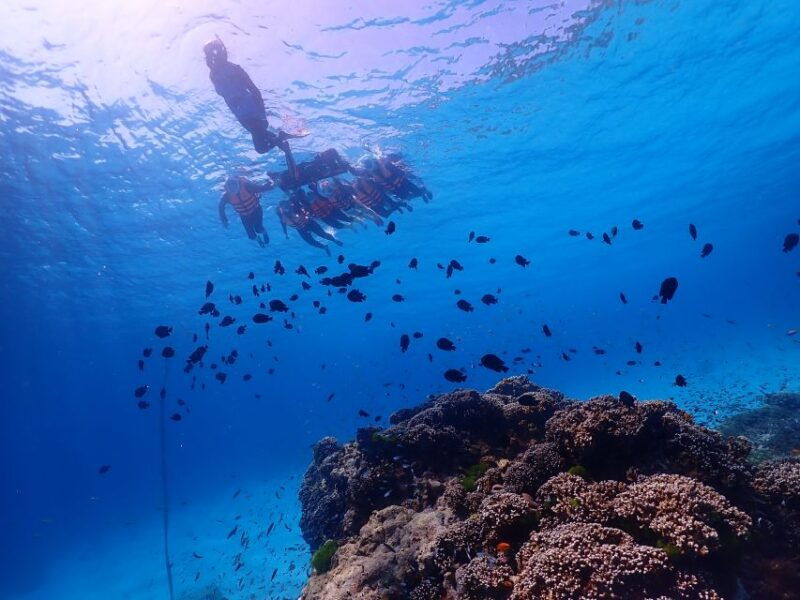 phuket-similan-island-snorkeling-adventure-full-day-tour