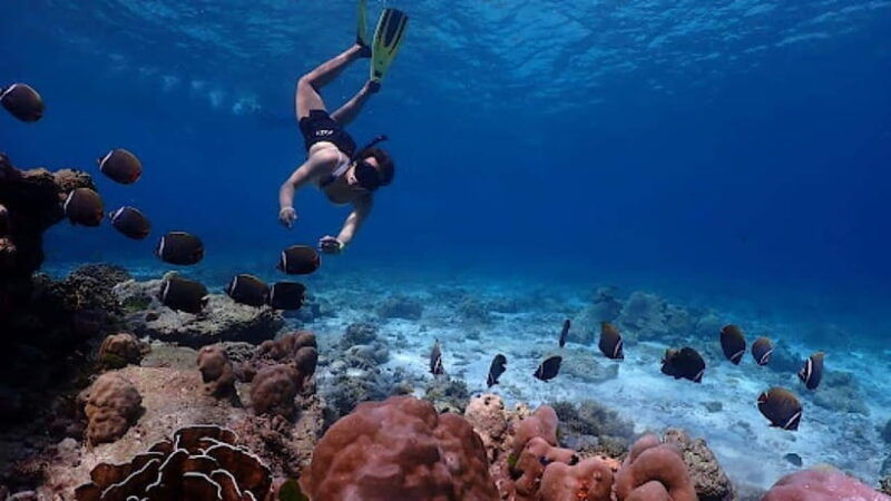 phuket-similan-islands-day-tour-by-speedboat-with-lunch