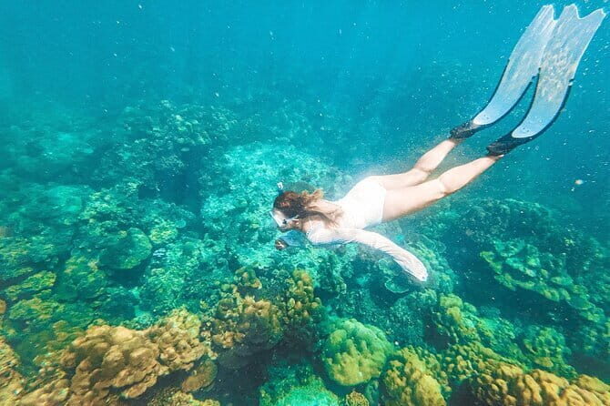 Phuket Speedboat Day Tour to Phi Phi & Maya Bay Highlights - An Honest Look at the Itinerary and What You Can Expect