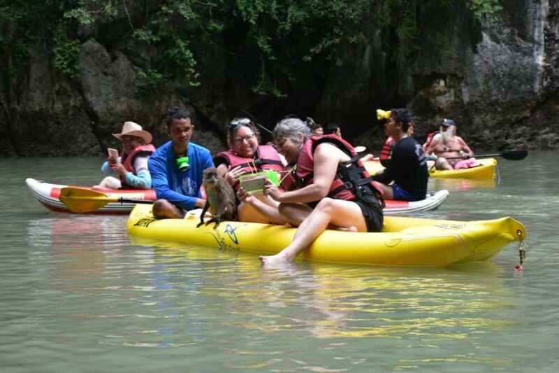Phuket: Starlight Hong Sea Cave & Glowing Plankton by Kayak - The Experience in Detail: Guides, Wildlife, and Environment