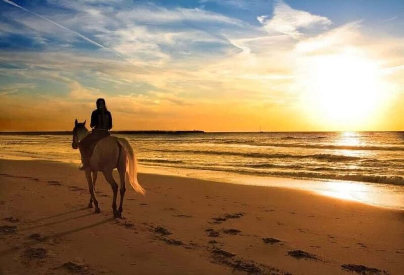Phuket: Sunset Beach Horseback Journey - Key Points
