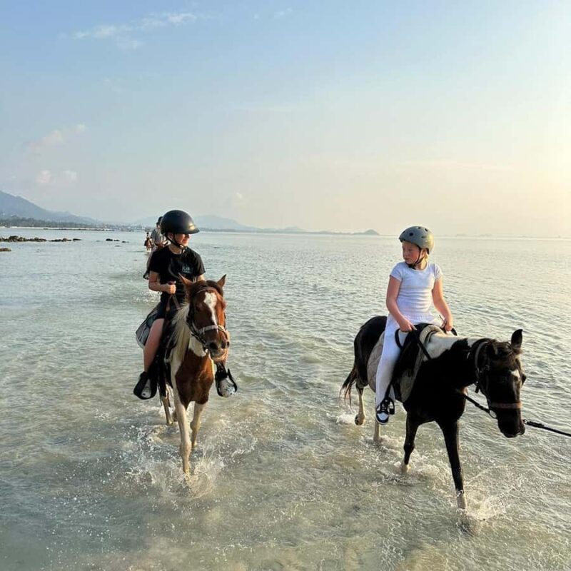 Phuket: Sunset Beach Horseback Journey - Final Thoughts: Is It Worth It?