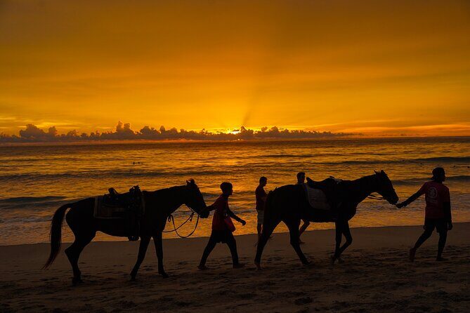 Phuket Sunset Horse Riding at Kamala Beach - An In-Depth Look at the Experience