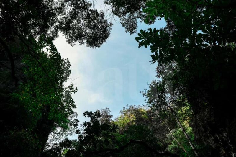 Phuket: Sunset Seafood Dinner Cruise In Phang Nga Bay - Practical Insights and What to Know